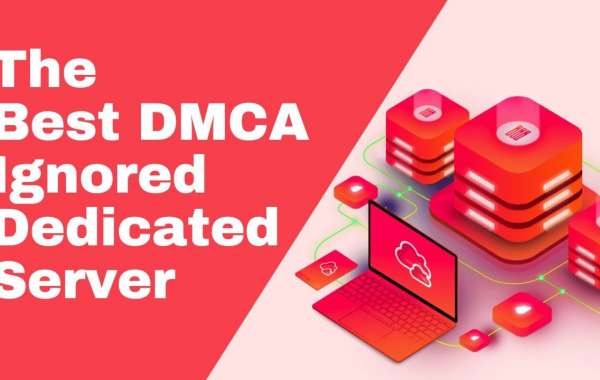 How to Find the Best DMCA Ignored Hosting for Your Content