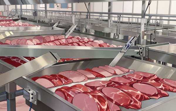 Deli Meat Manufacturing Plant Setup: Detailed Project Report 2024 by IMARC Group