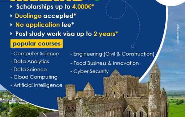 Ireland Universities Accepting Backlogs