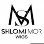 Shlomimorwigs Profile Picture