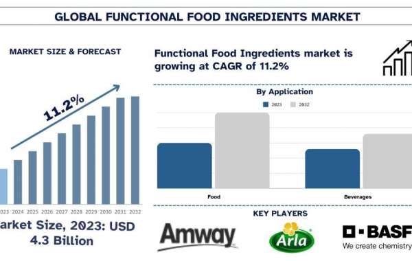 Functional Food Ingredients Market Analysis by Size, Share, Growth, Trends, Opportunities and Forecast (2024-2032)