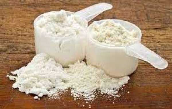 New Challenges and Growth of Global Egg White Protein Powder Market by 2032