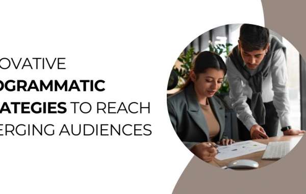 Innovative Programmatic Strategies to Reach Emerging Audiences