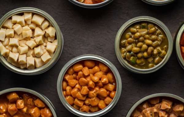 Empowering the Canned Food Industry in 2024