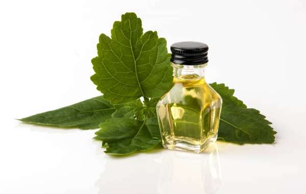 The Timeless Appeal of Patchouli Essential Oil: Uses, Benefits, and Wellness