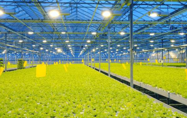 Rising Awareness of Energy Efficiency Fuels Horticulture LED Lighting Market Expansion