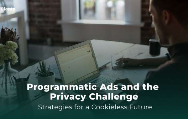 Programmatic Ads and the Privacy Challenge: Strategies for a Cookieless Future