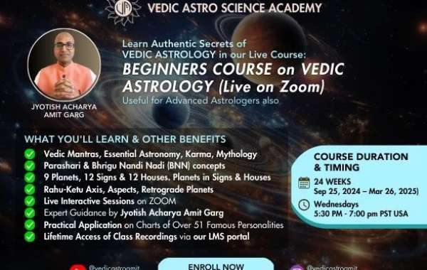 Vedic Astro Amit: Best Indian Astrologer in California for Accurate Guidance