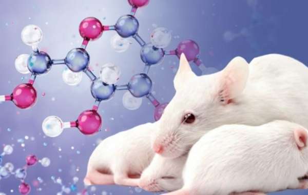 Animal Model Market Grows Amid Rising Demand for Preclinical Research in Drug Development