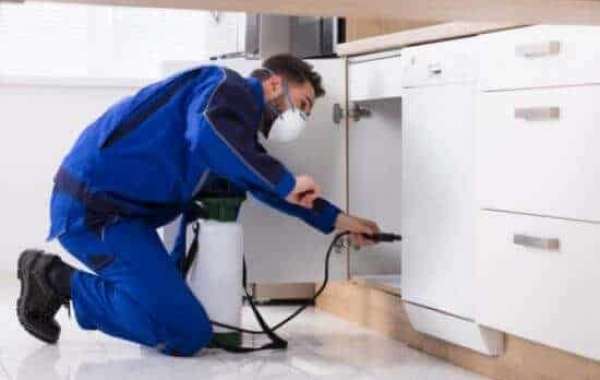 Reliable Pest Control Services in East London – Protect Your Home & Business