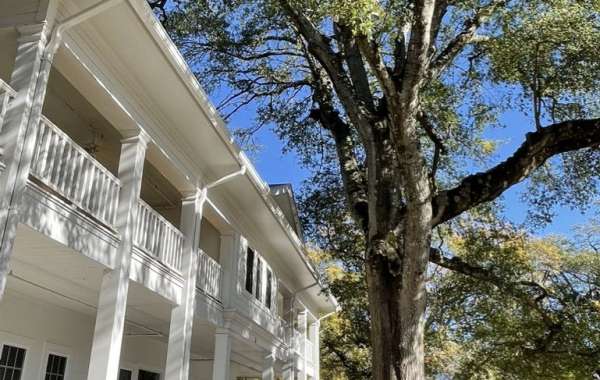 Explore Best Cottages in Pinehurst for Your Perfect Getaway