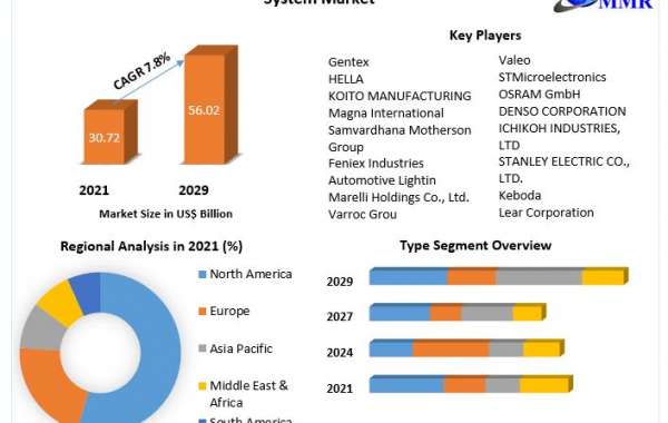 Automotive Perimeter Lighting System Market Outlook (2022–2029): Trends, Analysis, and Forecast