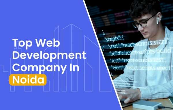 Transform Your Vision into Reality: Discover Why Website799 is Noida’s Top Web Development Company!