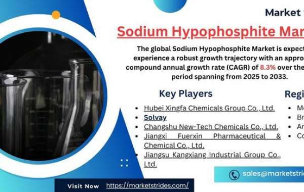 Growth Opportunities in the Sodium Hypophosphite Market: Forecast to 2033