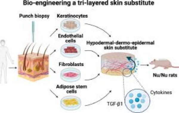 Biological Skin Substitutes Market Analysis: From $75.72 Billion in 2022 to a Projected $1.34 Billion in 2031