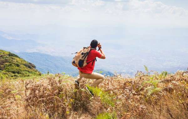 Best Time to Visit Phulara Ridge: A Seasonal Guide for Trekkers