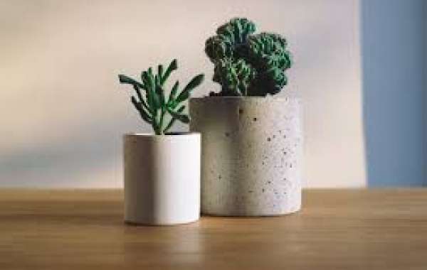 5 Creative Ways to Decorate Your Living Room with Artificial Plants