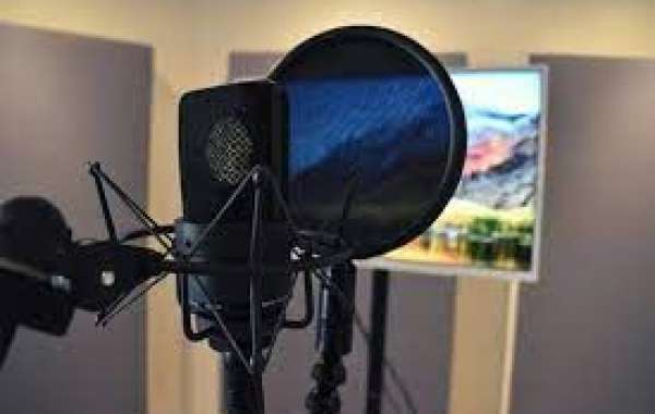 What are the Essential Aspects of Voice Over? 5 Key Points. 