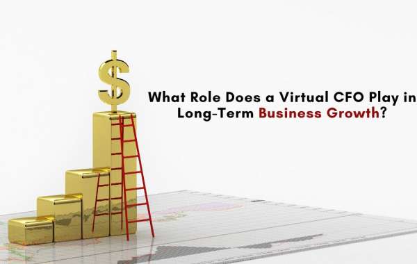 What Role Does a Virtual CFO Play in Long-Term Business Growth?