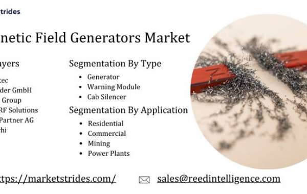 Magnetic Field Generators Market Forecast 2025-2033: Growth Insights