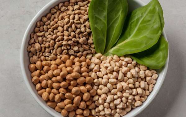Plant-Based Protein: Navigating the Market in 2024