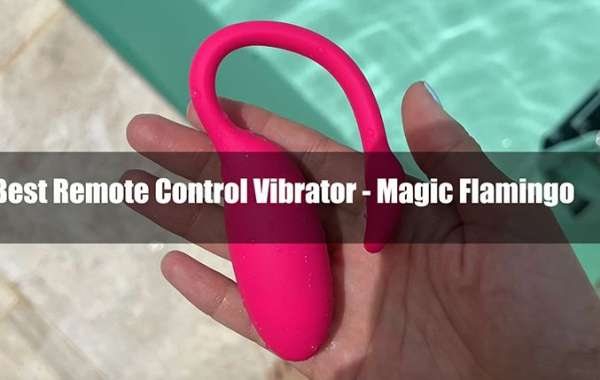 Best Remote Control Vibrator - Magic Flamingo