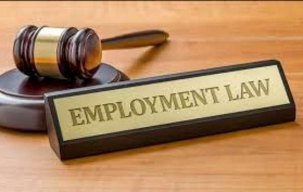 How to Find the Best Female Employment Lawyer for Your Workplace Case?