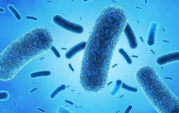 Antimicrobial Coatings Market Analysis, Trends and Dynamic Demand by Forecast 2024 to 2034