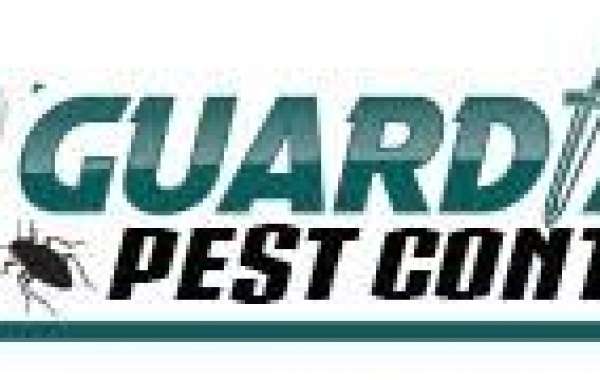 Guardian Pest Control: Your First Line of Defense Against Pests