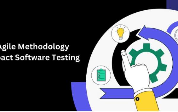 Software Testing Training