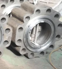 Dual Plate Check Valve Manufacturer in USA