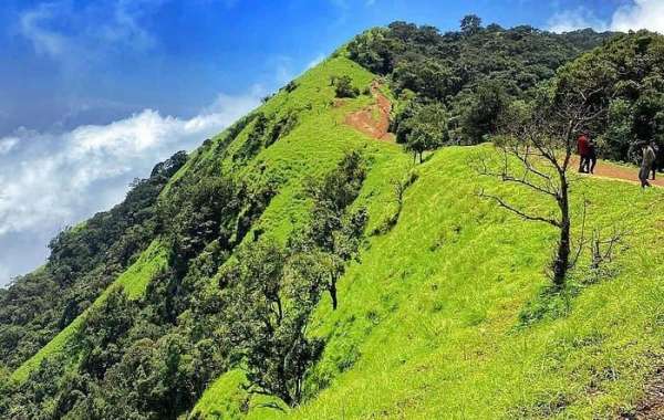 Kumara Parvatha Trek: Best Time To Visit & Highlights