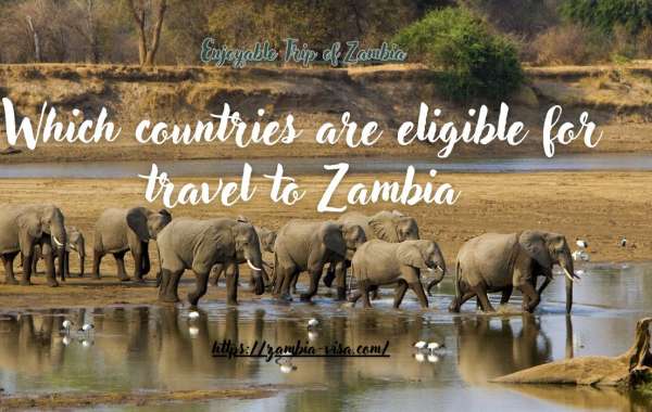 Which countries eligible for Zambia tourist visa