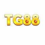 TG88 Profile Picture