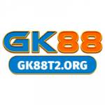 Gk88t2 Org Profile Picture