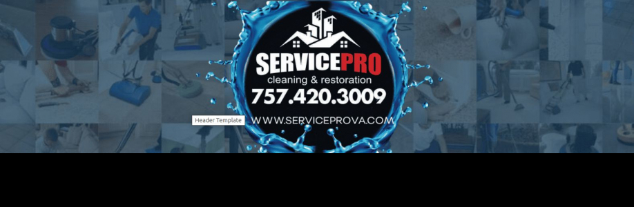 Service Pro LLC Cover Image