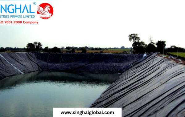 Geomembrane Sheets: The Essential Solution for Environmental Protection and Containment