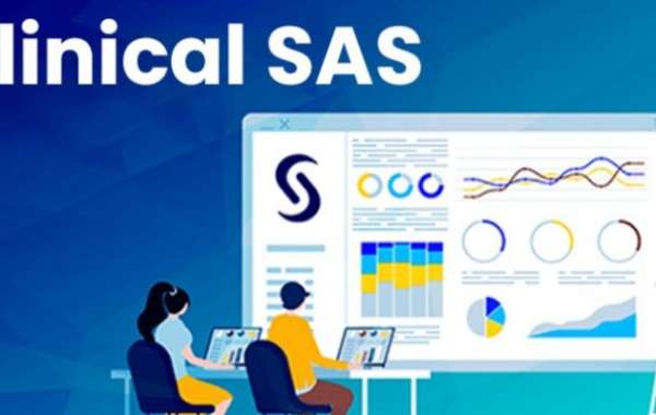 Best Clinical SAS Training Institute