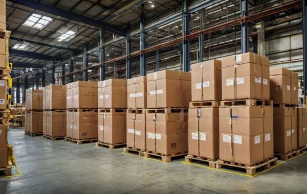 Industrial Packaging Growth in 2024: Trends and Driving Factors