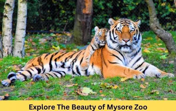 Exploring the Beauty of Mysore Zoo: Photos, Images, and Safari Adventures