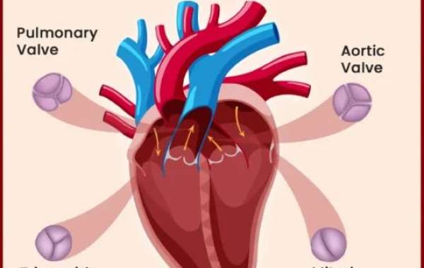 Heart Valve Surgery: How Does It Improve Patient’s Quality of Life?