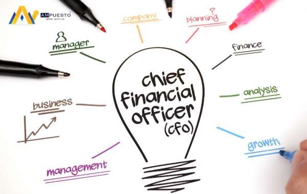 How Do CFO Assistance Services Help Manage Your Financial Growth?