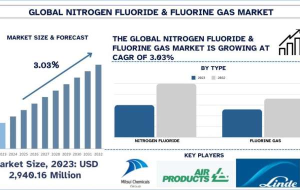 Nitrogen Trifluoride & Fluorine Gas Market Analysis by Size, Share, Growth, Trends and Forecast (2024–2032) | UnivDa