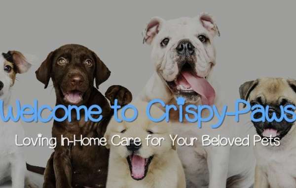 Crispy-Paws: Your Trusted Solution for In-Home Pet Care