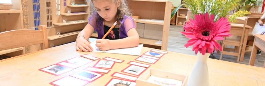 Amici Trilingual Montessori Preschool and Daycare Cover Image