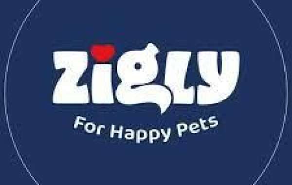 Zigly - Pet Grooming & Pet Products | New Friends Colony