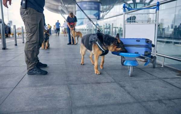 Security dogs in London with Professional Security Dog Services