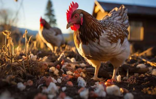 The Role of Native Australian Seeds in Enhancing Local Ecosystems