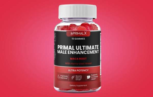 PrimalX Ultimate: Your Path to Increased Energy