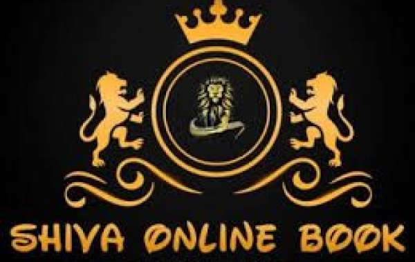 Top Online Exchange Cricket IDs for Betting on Team India’s T20 Matches in 2024